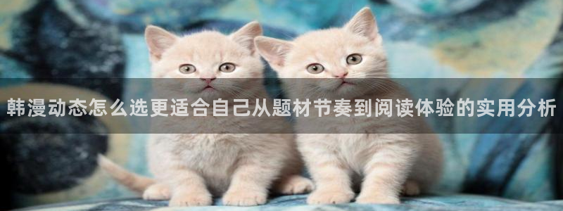 51漫画热门榜单